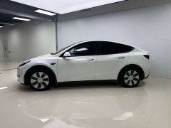 Tesla Model Y rear-wheel drive version - фото 6