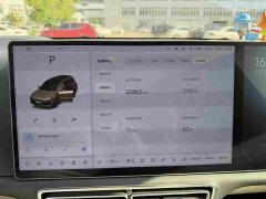 Li Auto Ideal L9 Max - фото 4