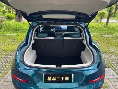 Lexus Euler Good Cat 401km standard battery life luxury lithium iron phosphate - фото 11