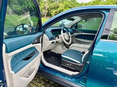 Lexus Euler Good Cat 401km standard battery life luxury lithium iron phosphate - фото 14