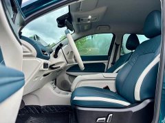 Lexus Euler Good Cat 401km standard battery life luxury lithium iron phosphate - фото 15