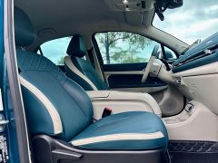 Lexus Euler Good Cat 401km standard battery life luxury lithium iron phosphate - фото 18