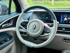 Lexus Euler Good Cat 401km standard battery life luxury lithium iron phosphate - фото 20