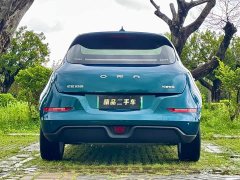 Lexus Euler Good Cat 401km standard battery life luxury lithium iron phosphate - фото 7