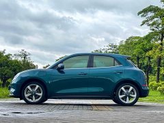 Lexus Euler Good Cat 401km standard battery life luxury lithium iron phosphate - фото 9