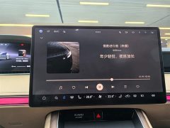 Stelato Xiangjie S9 pure electric Ultra four-wheel drive flagship version - фото 9