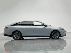 Lynk & Co Leapmoon C01 Extended Range 316 Exclusive Edition - фото 7
