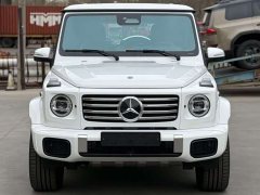 Mercedes-Benz G-Class G 450 d - фото 1
