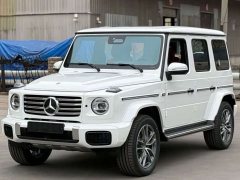 Mercedes-Benz G-Class G 450 d - фото 2