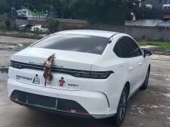 BYD Destroyer 05 DM-i 55KM Pilot Honor Edition - фото 11