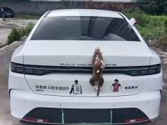 BYD Destroyer 05 DM-i 55KM Pilot Honor Edition - фото 12