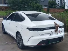 BYD Destroyer 05 DM-i 55KM Pilot Honor Edition - фото 13