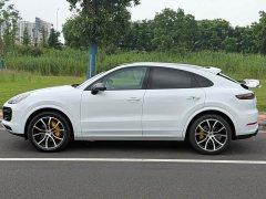 Porsche Cayenne Coupé 3.0T Platinum Edition - фото 4
