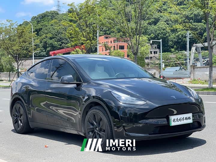 Tesla Model Y standard range rear-wheel drive version - автомобиль из Китая