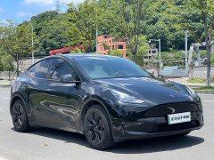 Tesla Model Y standard range rear-wheel drive version - фото 1