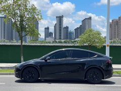 Tesla Model Y standard range rear-wheel drive version - фото 14