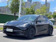 Tesla Model Y standard range rear-wheel drive version - фото 3
