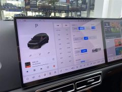 Li Auto Ideal L8 Max - фото 17