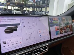 Li Auto Ideal L8 Max - фото 19