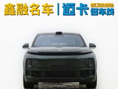 Li Auto Ideal L9 2022 Max - фото 11