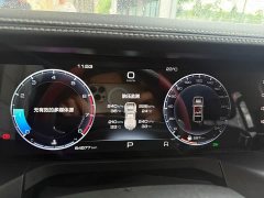 Tank 300 2021 Off-Road Version 2.0T Challenger - фото 16