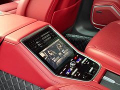 Porsche Panamera 2.9T Platinum Edition - фото 14