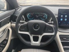 BYD Song PLUS New Energy EV Premium - фото 12