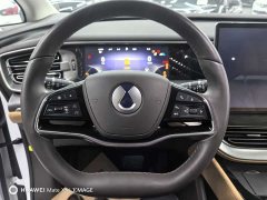 Denza D9 DM-i 970 Luxury - фото 13