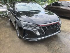 BMW Yixuan MAX 1.5T super cool fashionable dad version - фото 3