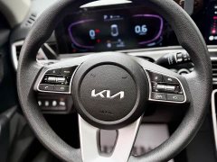 Lexus Sethus 1.5L CVT Deluxe Edition - фото 20
