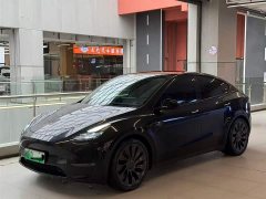 Tesla Model Y high-performance all-wheel drive version - фото 1