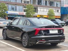 Hongqi H5 2.0T automatic Qichang version - фото 16
