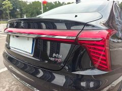 Hongqi H5 2.0T automatic Qichang version - фото 18