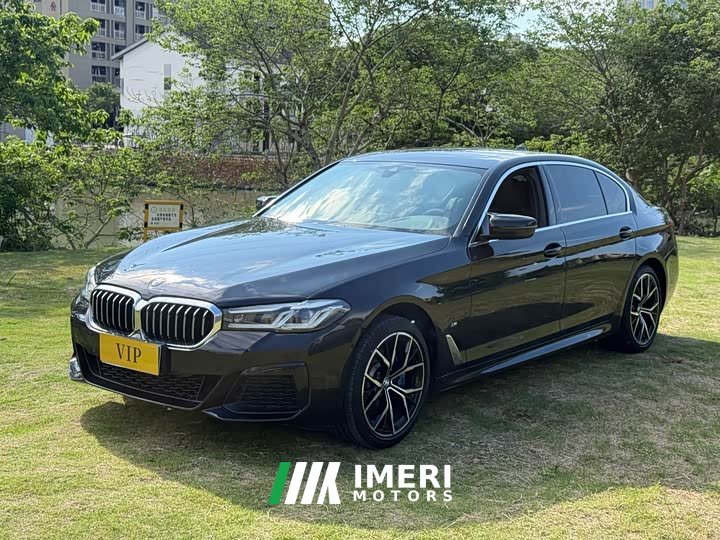 BMW 5 Series 530Li Leading M Sports Package - автомобиль из Китая