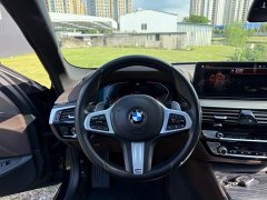 BMW 5 Series 530Li Leading M Sports Package - фото 10
