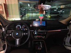 BMW X1 2021 sDrive20Li Luxury Line - фото 10