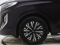 Hongqi HQ9 PHEV 2.0T four-wheel drive luxury version - фото 14