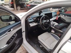 Tesla Xingrui facelift 2.0TD premium - фото 12
