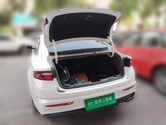 Tesla Xingrui facelift 2.0TD premium - фото 15