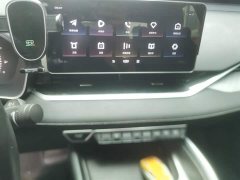 Lexus Xingrui 2021 2.0TD luxury - фото 14