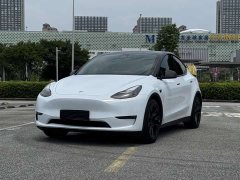 Tesla Model Y standard range rear-wheel drive version - фото 2