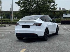 Tesla Model Y standard range rear-wheel drive version - фото 6