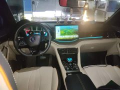 BYD Song PLUS New Energy DM-i 110KM flagship - фото 10