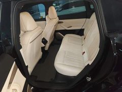 Li Auto Ledo L60 2024 60kWh rear-wheel drive version - фото 18