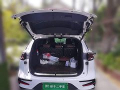 Lexus Tangxin Energy DM 2.0T four-wheel drive high-performance version premium - фото 15
