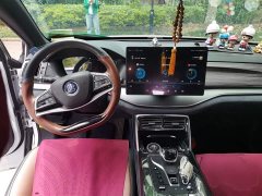 Lexus Tangxin Energy DM 2.0T four-wheel drive high-performance version premium - фото 5