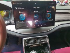 Lexus Tangxin Energy DM 2.0T four-wheel drive high-performance version premium - фото 9