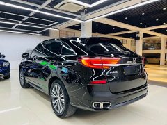 Lynk & Co Guandao 240TURBO two-wheel drive limited commemorative edition - фото 15