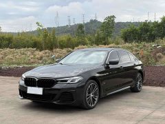 BMW 5 Series facelift 530Li leading M sports package - фото 17