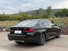 BMW 5 Series facelift 530Li leading M sports package - фото 20